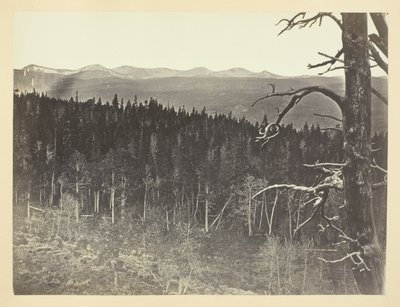 Ligne de neige et de bois, montagne de Medicine Bow - Andrew Joseph Russell