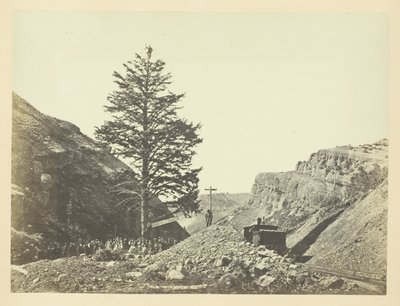 Arbre des mille milles, col de Wilhelmina - Andrew Joseph Russell