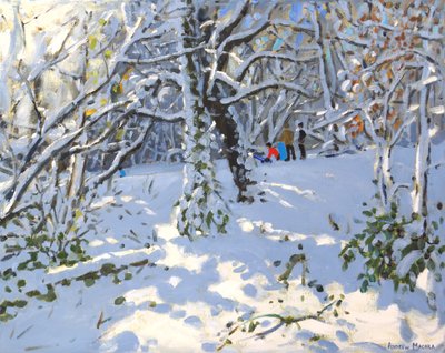 Luge de Noël dans les bois d