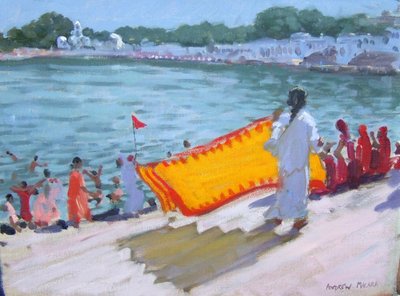 Séchage de sari, Pushkar - Andrew Macara
