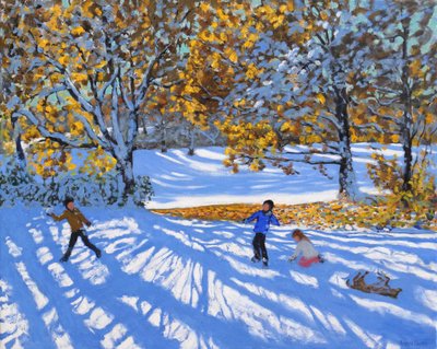 Première neige, parc Allestree, 2017 - Andrew Macara