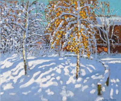 Feuilles dorées en hiver, Normanton, Derby - Andrew Macara