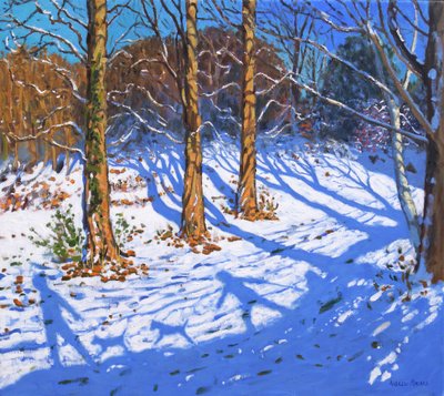 Neige de novembre, Allestree Park, Derby, 2017 - Andrew Macara