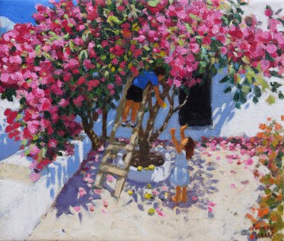 Cueillir des citrons, Skiathos, Grèce, 2021 - Andrew Macara