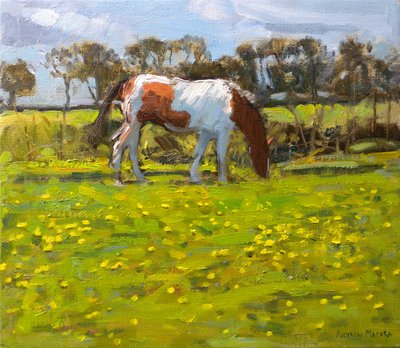 Cheval pie, 2010 - Andrew Macara