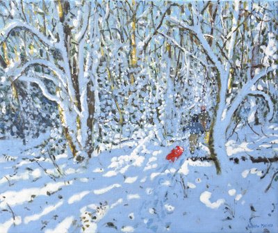Luge rouge, Allestree Park, Derby, 2022 - Andrew Macara