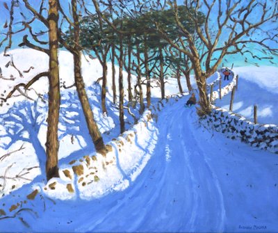 Luge dans le Peak District du Derbyshire - Andrew Macara