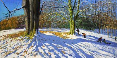 Sommet du parc Allestree, 2014 - Andrew Macara