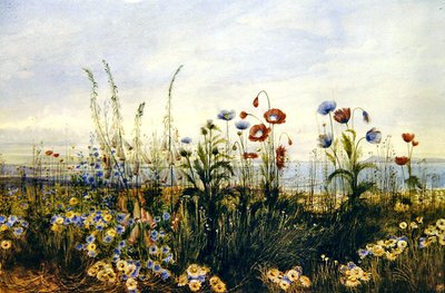 Vue de Kingstown et de la baie de Dublin - Andrew Nicholl