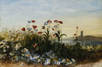 Château de Ferry Carrig, Co. Wexford, vu à travers une banque de fleurs sauvages - Andrew Nicholl