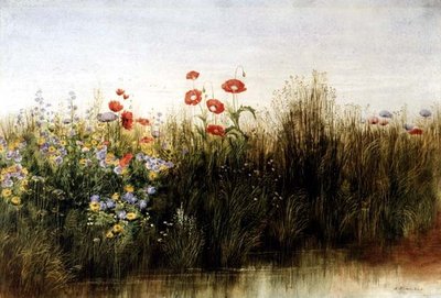 Fleurs sauvages près d