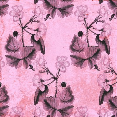 Floral de mûre - Andrew Watson