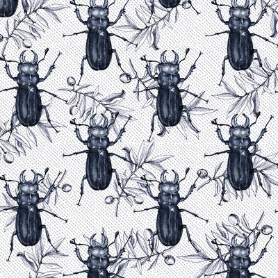 Scarabées, 2017 - Andrew Watson