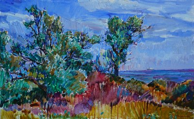 Un paysage côtier plein de vie - Andrii Kutsachenko