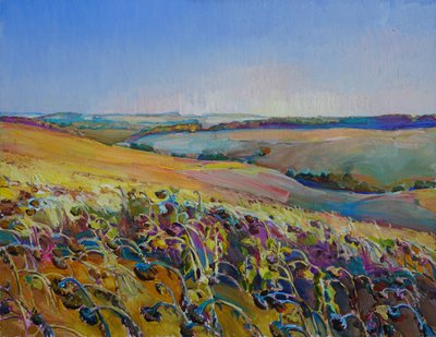Des champs de tournesols aux couleurs éclatantes - Andrii Kutsachenko
