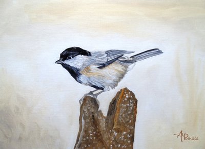 Une mésange sur une souche d