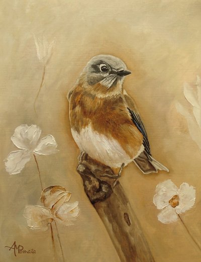  - Angeles M. Pomata