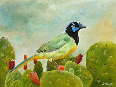 Geai vert sur un cactus - Angeles M. Pomata