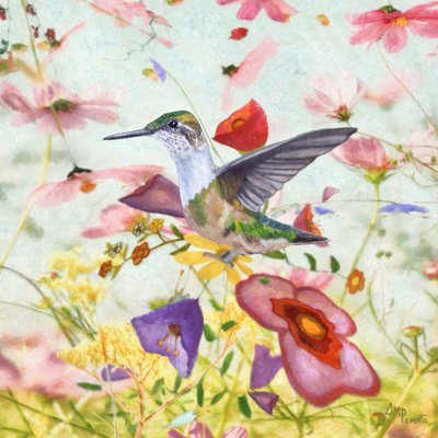 Un colibri parmi les fleurs - Angeles M. Pomata