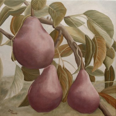  - Angeles M. Pomata