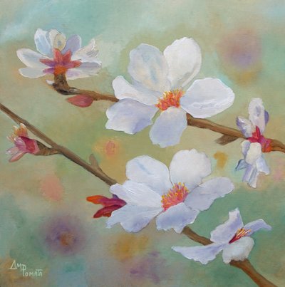 Fleurs d
