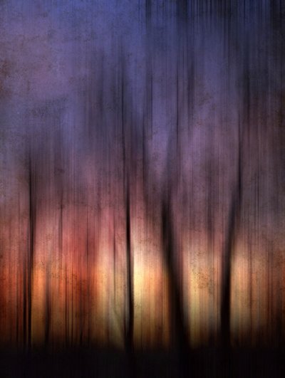  - Angelo Cerantola