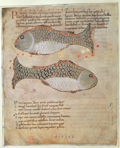 La constellation des Poissons de 