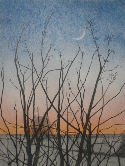 De ma fenêtre, 2011 - Anna Phillips