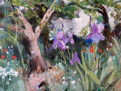 Jardin méditerranéen avec iris, 2019 - Ann Oram