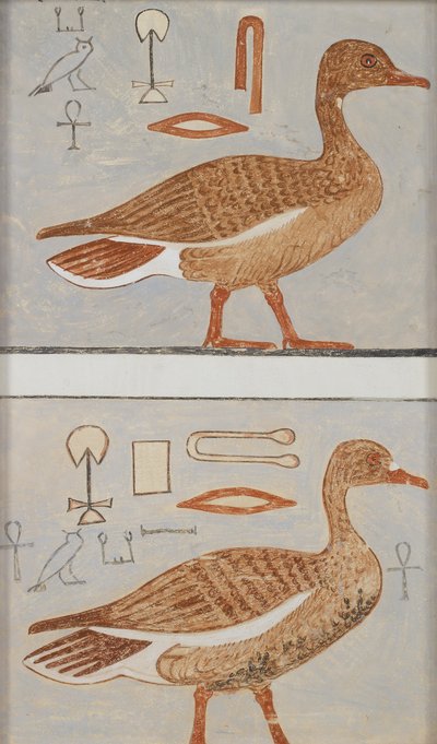 Copie de peinture murale d