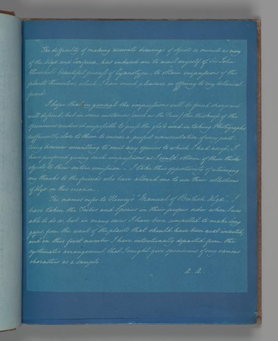 Widmungsseite 2 - Anna Atkins