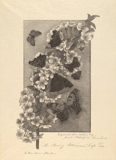 Les Fleurs de Cerisier - Thé de l
