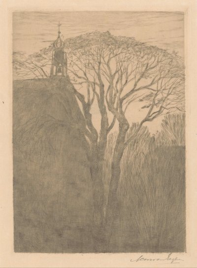 Arbre près d