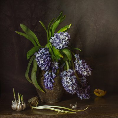  - Anna Petina