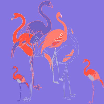 Flamants roses - Anna Platts