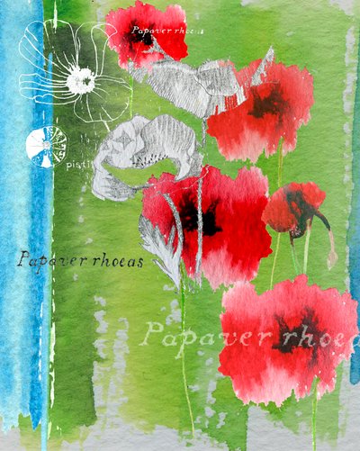 Coquelicot - Anna Platts