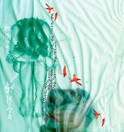 Bleu de la rédemption - Anna Platts