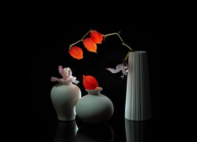  - Anna Qu