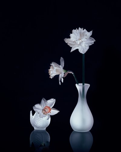  - Anna Qu