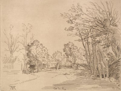 Paysage d