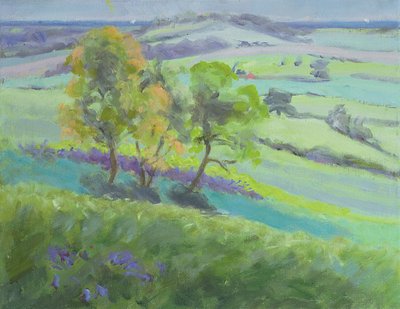 Vers Winchelsea, Sussex, avec des jacinthes au printemps - Anne Durham