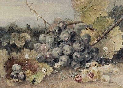 Raisins et fraises - Anne Frances Byrne