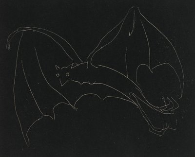 Série de nuit : La Chauve-souris - Anne Goldthwaite
