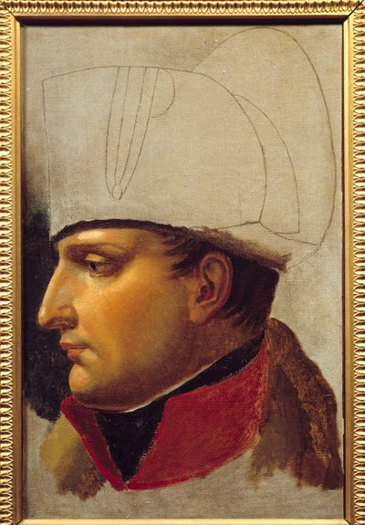 Portrait de Napoléon Ier (1769-1821) étude pour la remise des clés de la ville de Vienne le 13 novembre - Anne Louis Girodet de Roucy Trioson