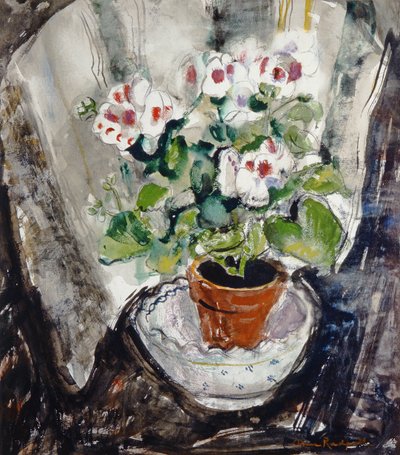 Pélargonium - Anne Redpath
