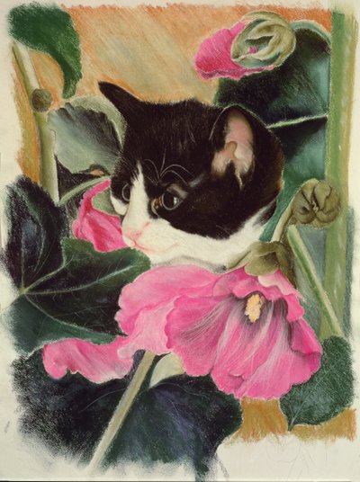 Chaton et roses trémières - Anne Robinson