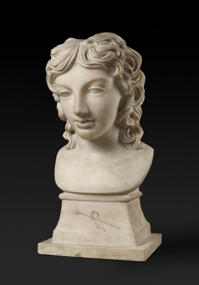 Portrait en buste du prince Henry Lubomirski dans le personnage de Bacchus, c. 1787 - Anne Seymour Damer