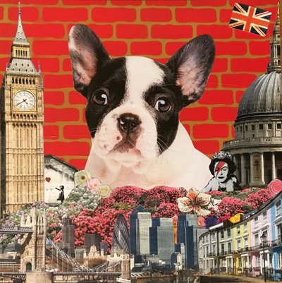 Câline mon bouledogue français - Anne Storno