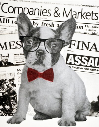 Chien de Wall Street, 2015 - Anne Storno