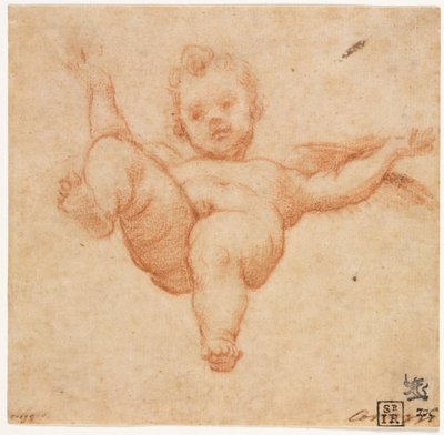 Cupidon volant, vers 1602 - Annibale Carracci